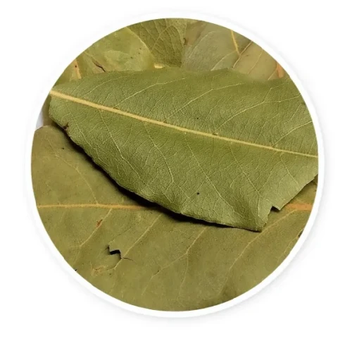 Liść laurowy cięty – aromatyczna przyprawa